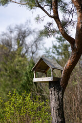 Wooden bird feeder on a tree.