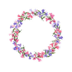 Watercolor wreath with hyacinths isolated on white background. Botanical illustration for postcard design, invitation template, Valentine day, birthday, wedding, mother day cards