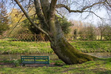 Bench along The New Reach, Halesworth Millennium Green, Suffolk, England