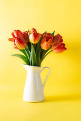 Beautiful bouquet of tulips in white jug on bright yellow background close up.
