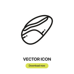 Racket icon vector. Linear style sign for mobile concept and web design. Racket symbol illustration. Pixel vector graphics - Vector.	