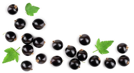 black currant with leaf isolated on white background. Top view. Flat lay pattern. With space for your text
