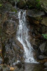 waterfall in the forest