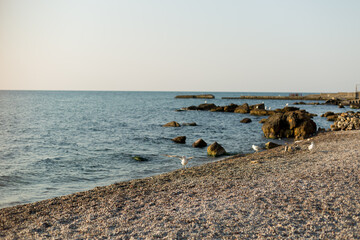 Fototapeta na wymiar Rocks / stones on the beach at dawn on the black sea