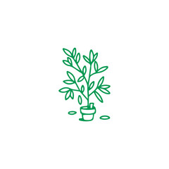 Fototapeta na wymiar vector illustration of a small tree in a pot