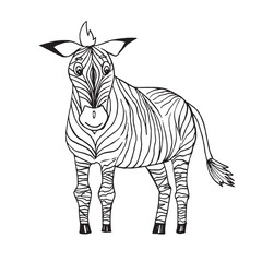 Coloring pages. Cute beautiful zebra stands and smiles.
