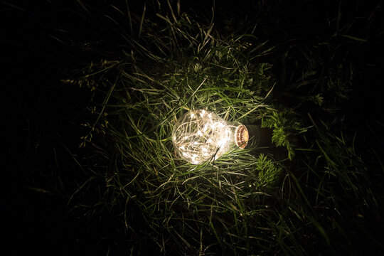 illuminating a spherical ground garden lamp of white color lies on a green lawn in the grass in the backyard of the park, closeup of a lighting fixture
