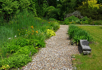 żwirowa ścieżka w ogrodzie, rośliny przy ścieżce w wiejskim ogrodzie, żwirowa alejka, garden path, funkia, irys i jarzmianka (Astrantia, hosta, Iris), wiosenne kwiaty, designer garden	