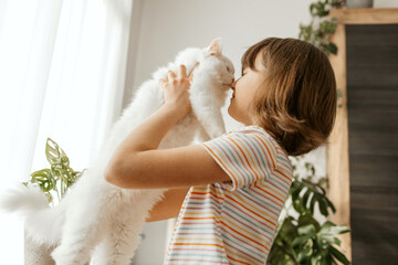 A teenage girl plays with her beloved white, fluffy kitten. The child kisses the cat. Love and care...