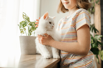 A girl plays with her beloved fluffy, white kitten. The child pets the cat. Attachment between...