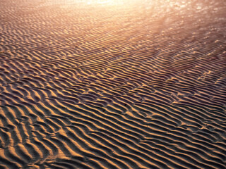 Beautiful sand beach texture illuminated by warm sunset light. Nature background for design.