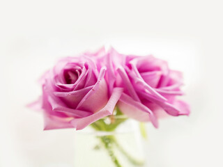 Pink rose bouquet, light background, selective focus. Decoration in a house concept. Light and airy look.