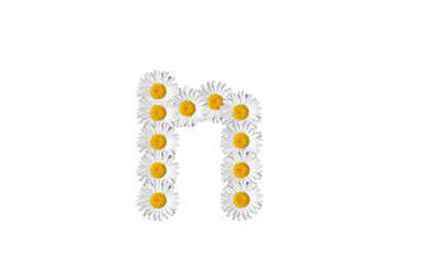 floral alphabet letter a, upper case letter i, lowercase i, small letter i., minuscule i., upper letter i., uppercase i. cap i.