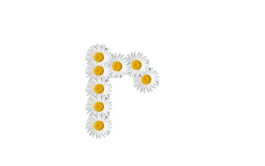 floral alphabet letter a, upper case letter i, lowercase i, small letter i., minuscule i., upper letter i., uppercase i. cap i.