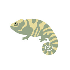 Vector illustration with chameleon.Tropical jungle cartoon creatures.Pastel animals background.Cute natural design for fabric, childrens clothing,textiles,wrapping paper.