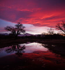 Fototapeta na wymiar Sunset Tree Silhoutte With Reflection
