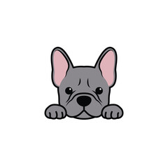 Cute french bulldog puppy blue color cartoon isolated on a white background, vector illustration