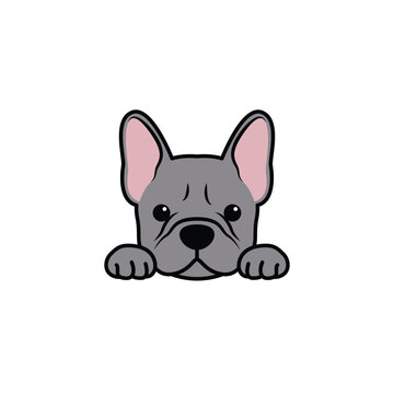Cute french bulldog puppy blue color cartoon isolated on a white background, vector illustration