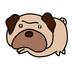 fat pug dog, character design, cute cartoon isolated , graphic design for presentation, marketing, art, illustration, t-shirt design, cartoon, comic, advertising, online media
