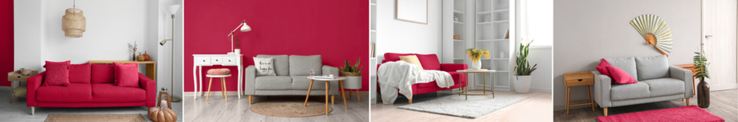 Set of modern living room interiors with stylish sofas. Viva Magenta - color of 2023 year