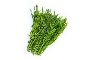 Leucaena leucocephala isolated on white background