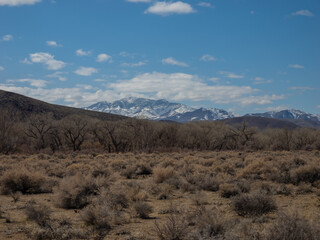 Snow covered mountains in the distance viewed from dry desert 