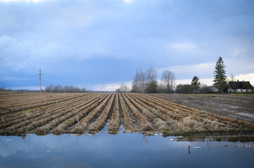 Arable agricultural farming land with ridges for planting seeds in early spring