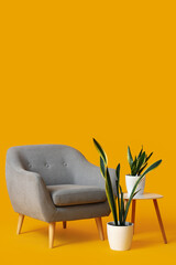 Cozy grey armchair, houseplants and table on orange background