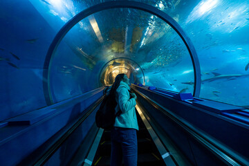 Young Asian woman looking at beautiful shoal of fish in large glass tank tunnel during travel...