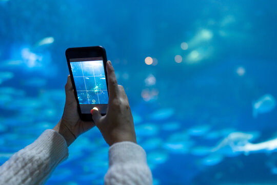 Young Asian woman using mobile taking picture shoal of fish in large glass tank during travel underwater zoo Aquarium. Attractive girl having fun learning sea life at oceanarium on holiday vacation.