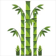 bamboo and leaves vector