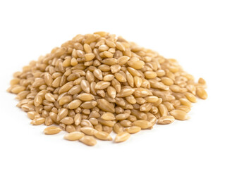 A pile of wheat seeds on a white background.