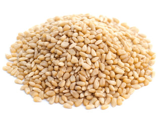 wheat grain isolated on white background