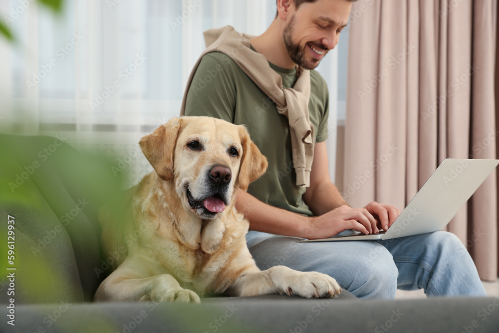 Poster Man using laptop on sofa near his cute Labrador Retriever at home