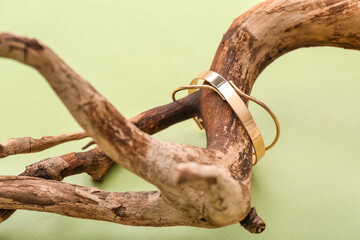 Tree branches with golden bracelet on green background, closeup