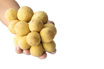 Wollongong fruit in hand