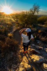 desert sunset cactus  