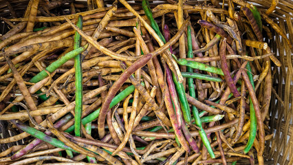 Feijões frescos e orgânico 