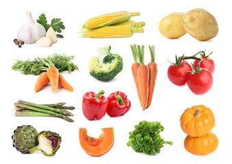Collage with many fresh vegetables on white background