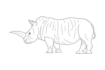 Side view of Standing Rhinoceros Isolated on White Background. Cartoon style. Educational Zoology Illustration. Coloring Book Picture. Outline.