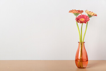 Vase with gerbera flowers on table near light wall