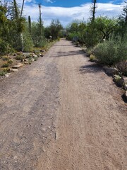 Desert path