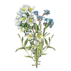 Watercolor bouquet with apple tree flowers and forget me not isolated on white background. Wild flower. Spring summer plants for invite on celebration wedding. Clipart for wallpaper or wrapping