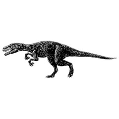Herrerasaurus hand drawing vector isolated on background.