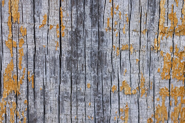 Close up view of weathered and mossy wooden background.