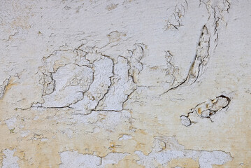 Close up view of cracked and weathered white wooden wall.