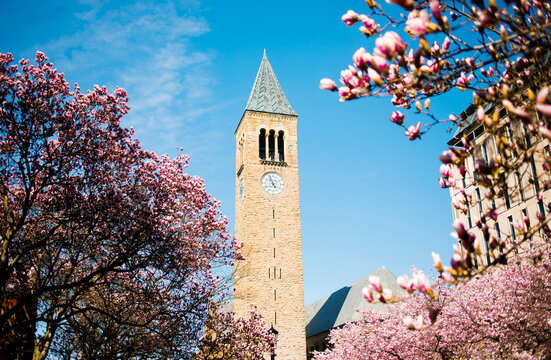 ITHACA, NY - April 14, 2023: Cornell University  in spring time