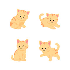 아기고양이 © 애영 고