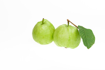 Guavas on white background