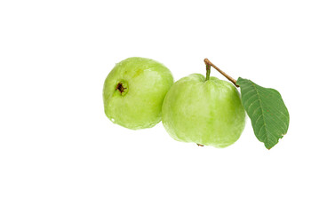 Guavas on white background